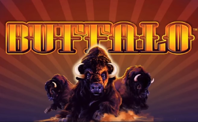 how to play buffalo slot machine