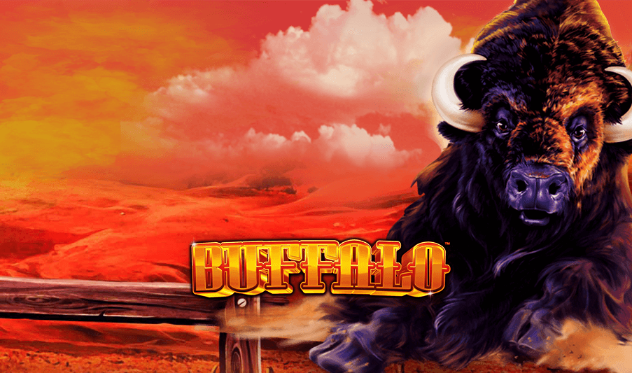 how to win at buffalo slots